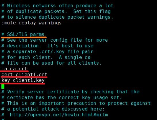 Редактирование SSL TLS parms